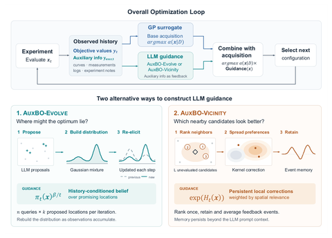 AuxBO optimization loop